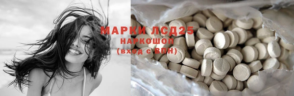 ешки Аркадак