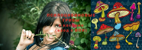 ешки Армянск