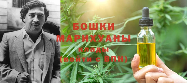 ешки Аркадак