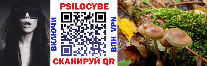 Псилоцибиновые грибы GOLDEN TEACHER  Купить закладки  Закаменск 