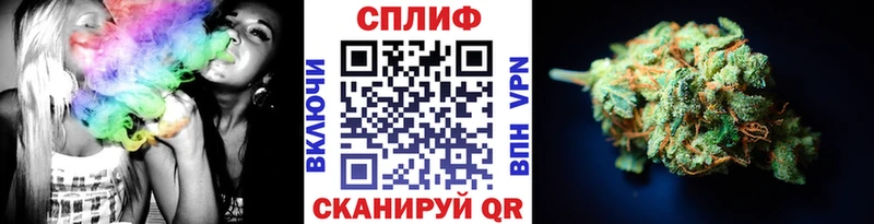 Купить  Закаменск  Бошки Шишки SATIVA & INDICA 